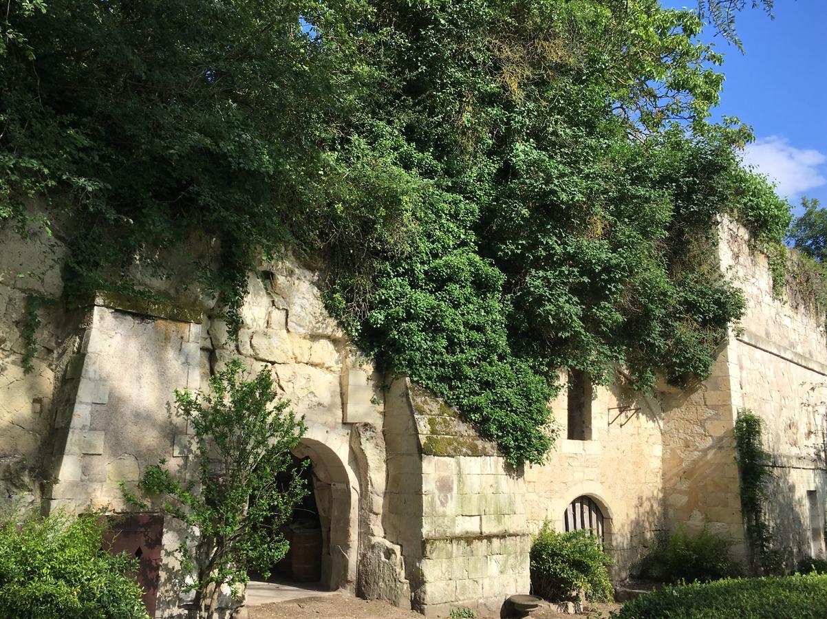 La Seignere Otel Saumur Dış mekan fotoğraf